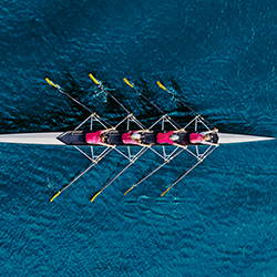Women's,Rowing,Team,On,Blue,Water,,Top,View