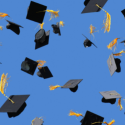 graduation caps in the air