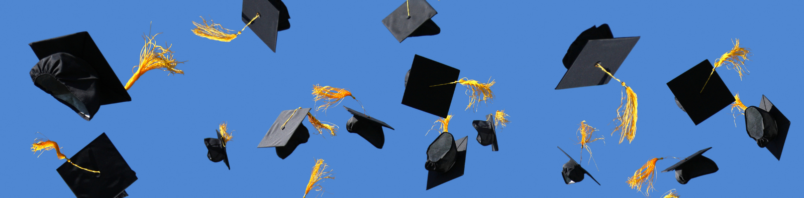 graduation caps in the air