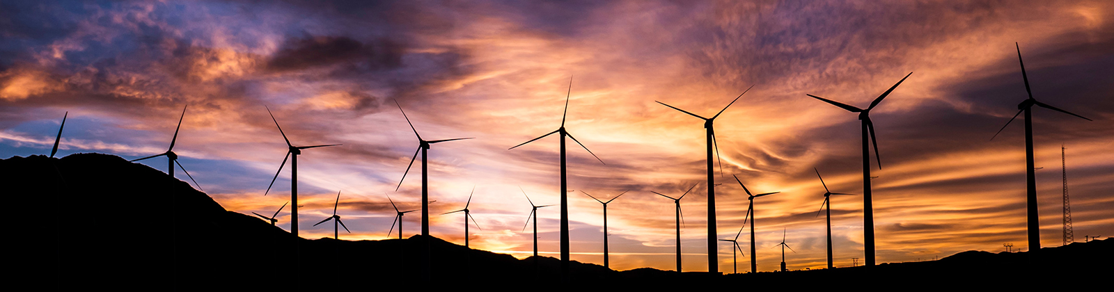 silhouette of windmills