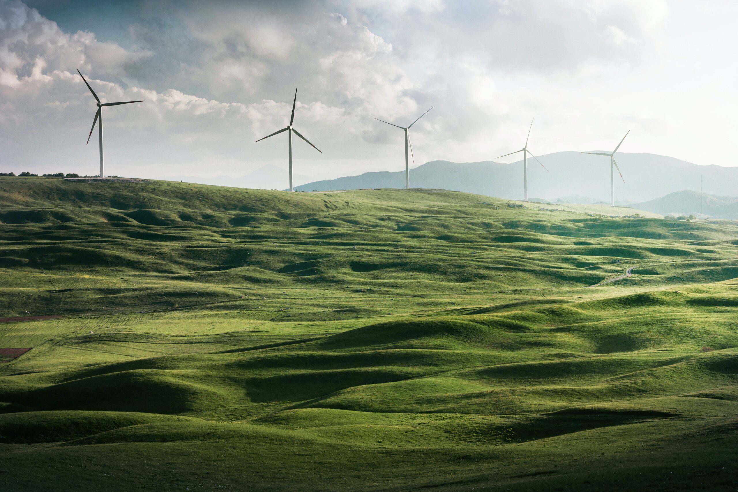 Wind Turbine field