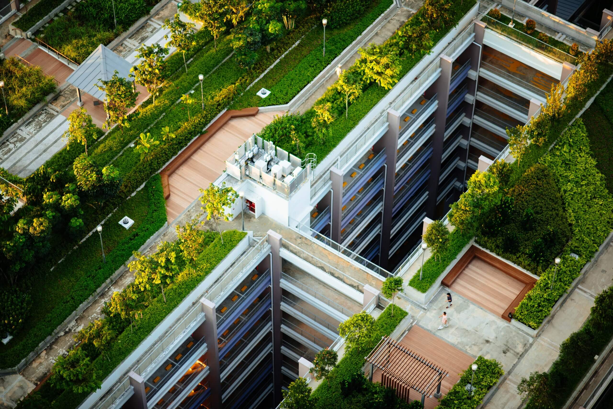 aerial shot of development