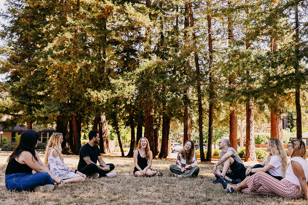 A group of students sit among trees