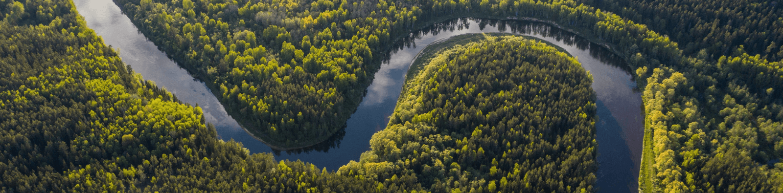Calm river winds through the woods