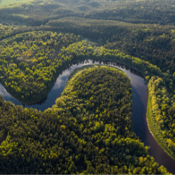 Calm river winds through the woods